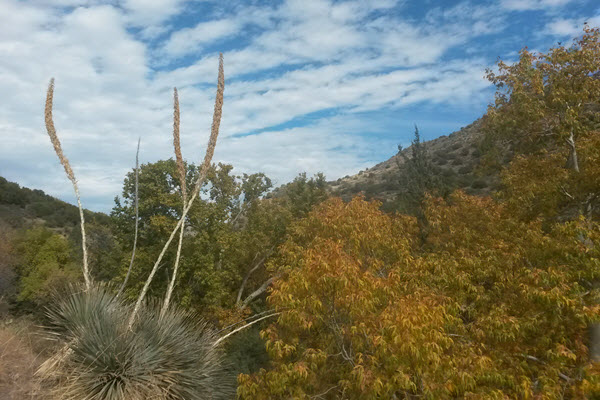 Arizona Trail Hike Saddle Mountain