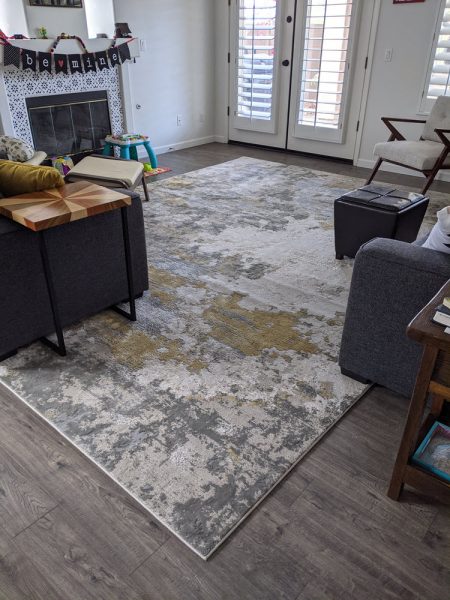 We finally got a rug for the living room.