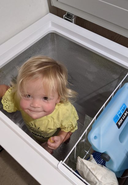 Mattie cooling off in our our deep freezer