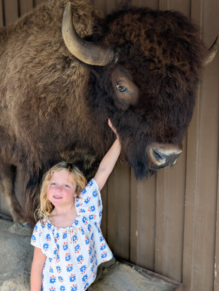 Don't pet the wildlife.