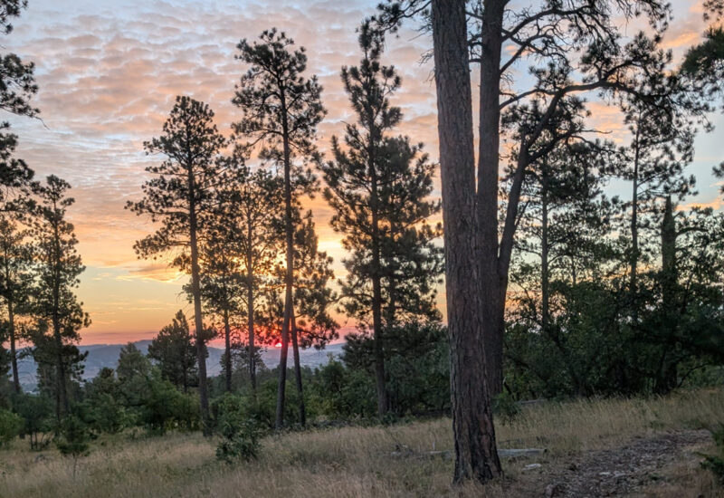 Beautiful sunrise.